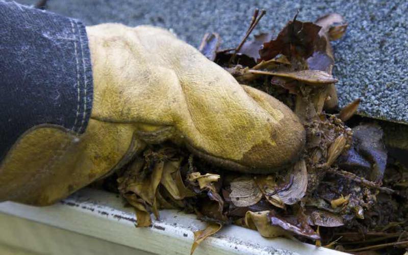 Gutter Cleaning in Maryville TN